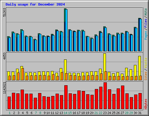 Daily usage for December 2024