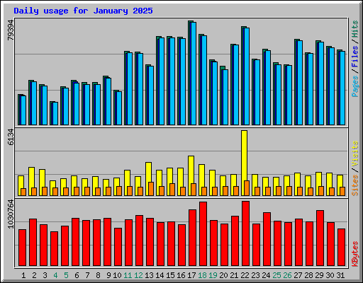 Daily usage for January 2025