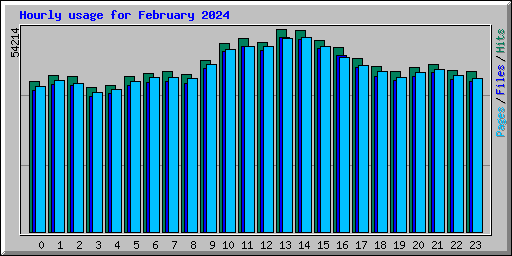 Hourly usage for February 2024