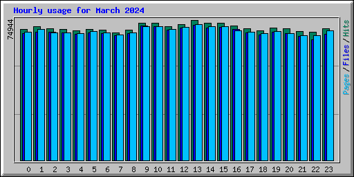 Hourly usage for March 2024