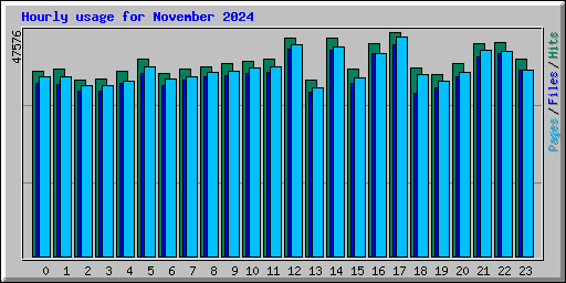 Hourly usage for November 2024
