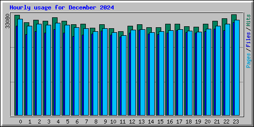 Hourly usage for December 2024