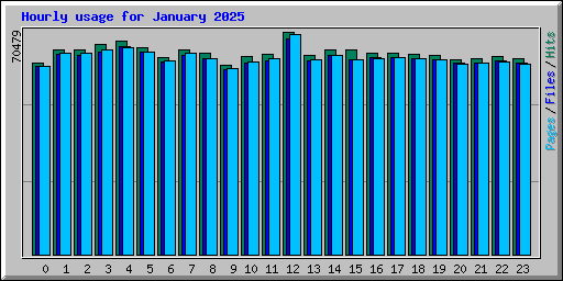 Hourly usage for January 2025