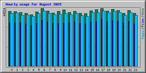 Hourly usage for August 2025