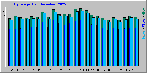 Hourly usage for December 2025